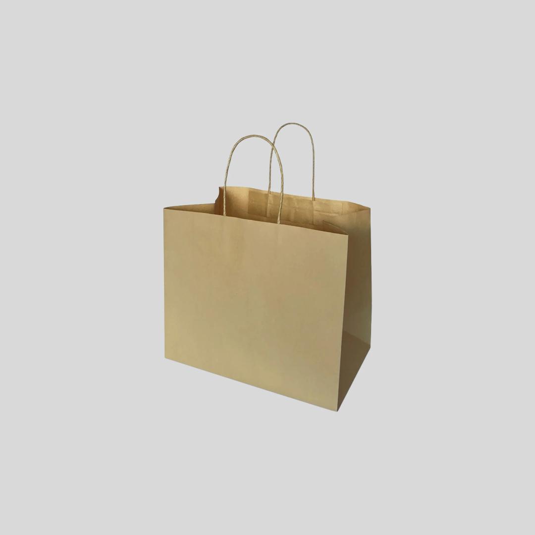 kraft-paper-bag-with-twisted-handle-m-size-m02