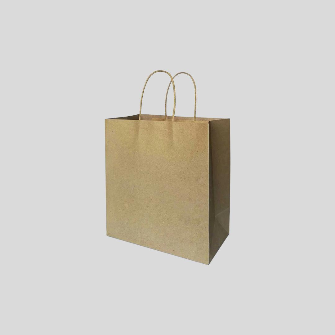 kraft-paper-bag-with-twisted-handle-m-size-m01