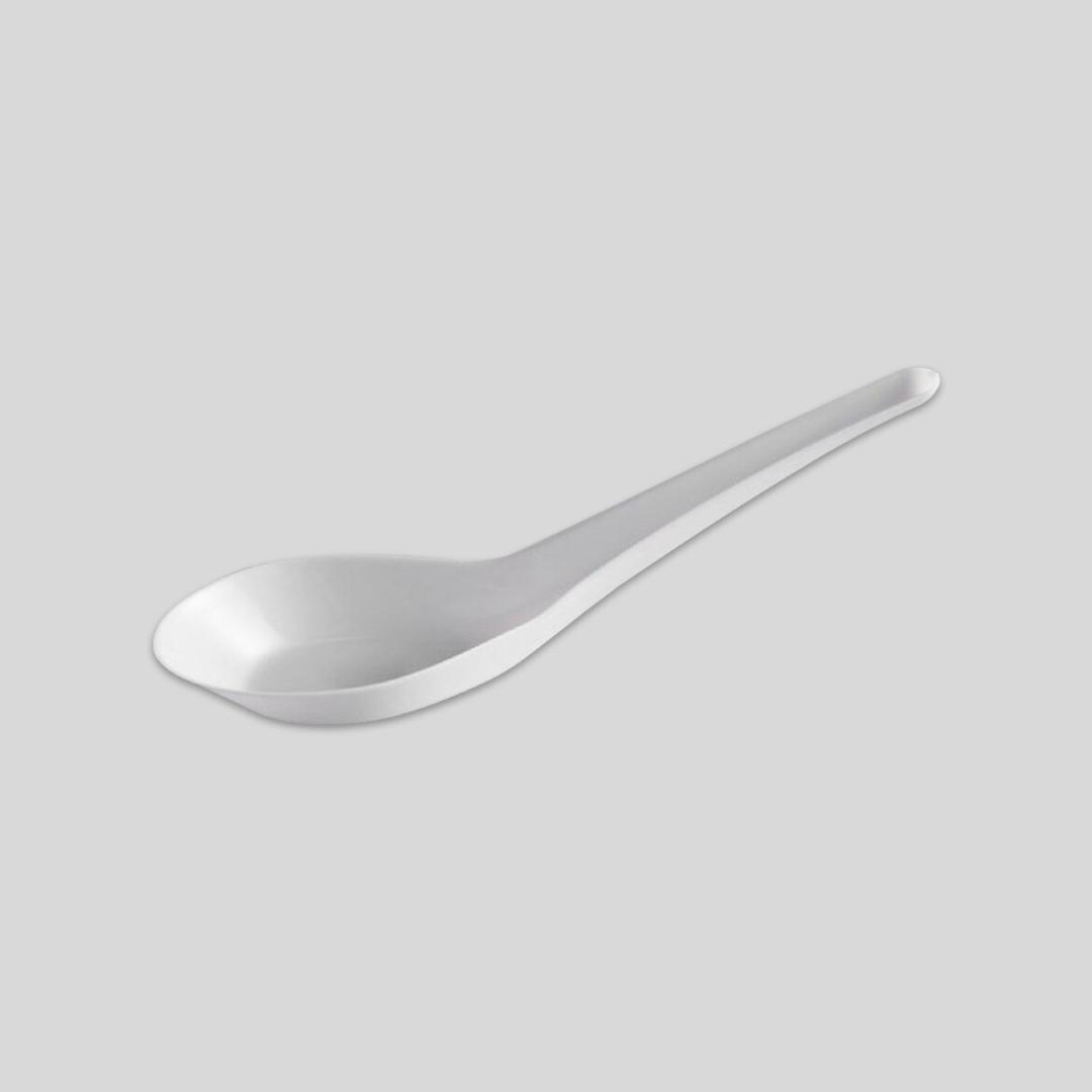 big-plastic-soup-spoon-white-hard-material